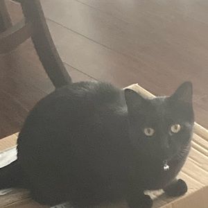 Meet your Posher, Brett